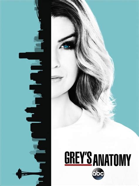 Grey's Anatomy: Season 13 .
